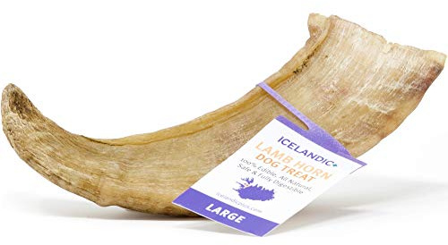 Icelandic+ Lamb Horn - Large - 7 Dog Chew, Long-Lasting Crunchy Treat, Medium & Large Dogs, Keratin, All-Natural, Pet Snack, Edible & Digestible