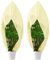 Cappuccio Protezione Piante, 2 PCS Protezione Invernale per Piante, Telo Protezione Piante con Cordoncino，Protezione Antivento Traspirante Protezione Piante dal Freddo per Arbusti e Alberi 120 x 180CM