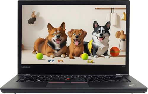 Lenovo ThinkPad T470 Portátil empresarial, 14 Pulgadas (1366 x 768), Intel Core i5-6300U, 16 GB de RAM, 256 GB de SSD, Teclado QWERTY, Windows 11 Pro (reacondicionado)