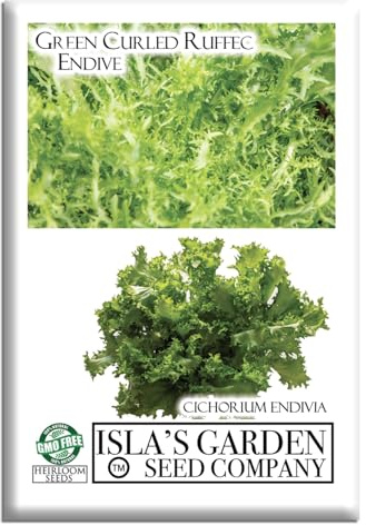 Green Curled Ruffec Endive Seeds for Planting (Cichorium endivia) – 300+ Non-GMO & Heirloom Seeds by Isla’s Garden Seeds, Crisp Curly Greens Ideal for Salad Mixes, Containers & Garden Beds, Gardening