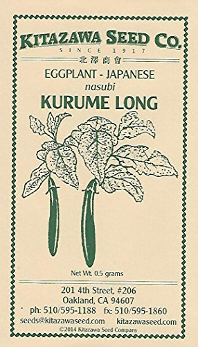 Japanese Eggplant - Kurume Long - 0.5 Grams