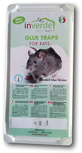NUISIPRO - Plaques de glu Anti-Rats et Anti-Souris - Lot de 20 - Pièges à Colle pour Zone Humide