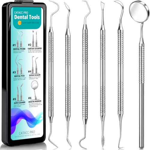 CATACC PRO Dental Tools, Toothpick Teeth Cleaning Kit Stainless Steel Hygiene Kit with Tooth Scraper and Plate and Tartar (with Case)
