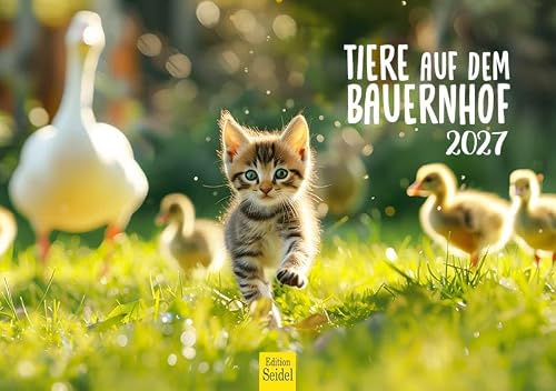 Edition Seidel Premium djurkalender 2027 DIN A5-format. Tysk väggkalender för Tierliebhaber heimische djur Kuh Huhn häst Schwein hund åsnor