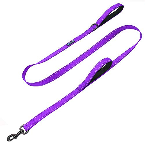 Max and Neo Double Handle Traffic Dog Leash - Reflective, Donates to Dog Rescue (Purple, 6 FT)