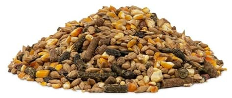 GOLDPFERD Powermüsli P13