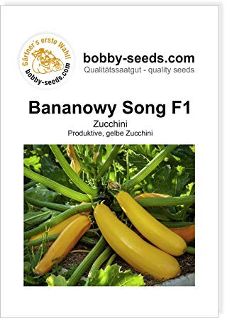 Bananowy Song F1 Zucchinisamen von Bobby-Seeds Portion