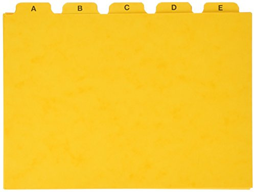 Pagna 25251-05 - Carpeta colgante con separadores (25 unidades, A5), color amarillo