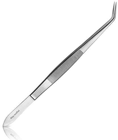 May - Terrarium-Pinzette 20 cm lang mit feiner Spitze - Futterpinzette - Futterzange - Gebogene Ausführung - Edelstahl