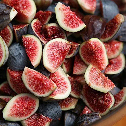 Ficus Brown Turkey en POT | Incroyable Arbre Fruitier Figuier à Feuilles Caduques (20-30 cm avec Pot)