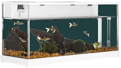 Mini acuario, terrario acrílico con luz LED, cuenca de cría de faunario, peces pequeños con bomba de agua silenciosa y sistema de filtración incorporado