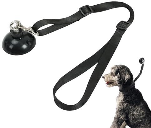 Cappio Per Toelettatura - Corda Con Base A Per Cani,Assistente Per La Toelettatura | Per Bagno, Taglio Unghie, Rifinitura E Cura Domestica Per Animali