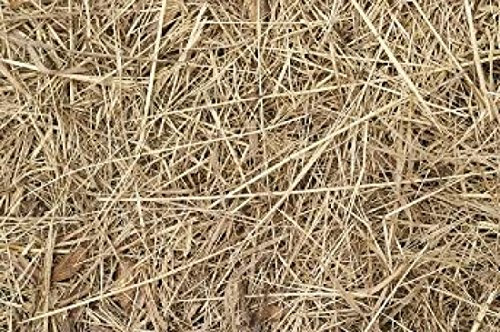 Pillow Wad Straw Small