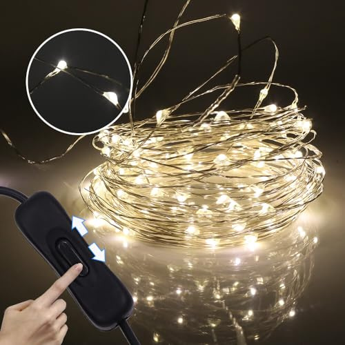 HEGEHE Kit Luce Stringa LED 12V, Luci Natalizia LED Flessibili Impermeabili Bianco Caldo 10M con Alimentatore Switching, Luci Filo di Rame 100 LEDs/m, Decorazione per Interni ed Esterni