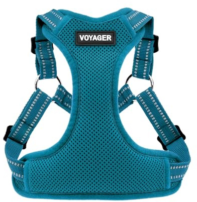 Voyager Verstellbares Hundegeschirr mit Reflektorstreifen by Best Pet Supplies - Strapazierfähige Ganzkörperweste ohne Zugkraft mit Leinen-D-Ring, atmungsaktiv, Türkis, size L