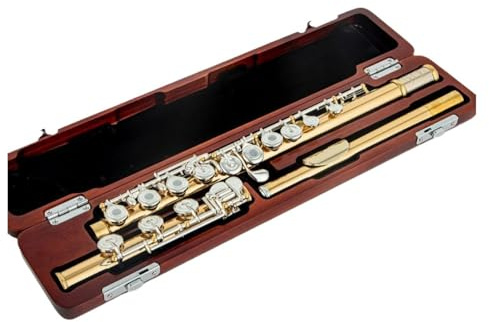 tvärflöjt instrument Instrumentflöjt C-nyckel 17-håls flöjt professionellt framförande