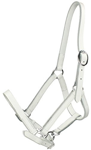 Hb Fohlenhalfter Leder - Weiß - Gr. Pony