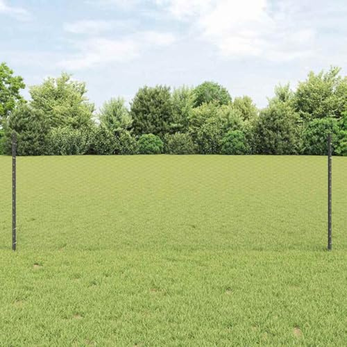 Tonture Recinzione da giardino verniciata a polvere, con pali, 10 metri, in metallo e plastica resistente alle intemperie, recinzione a doppia asta, per terrazza, giardino anteriore