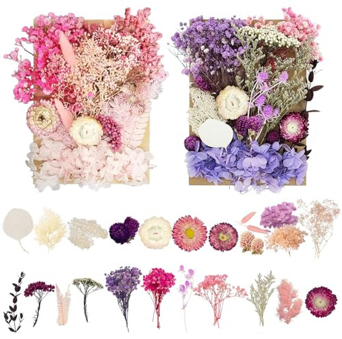 2 Boxen Trockenblumen, Trockenblumen Zum Basteln, Rosa Lila DIY Getrocknete Blumen, Echte Natürliche Trockenblumen, für Kunst DIY Harz Scrapbooking Handwerk Karten Machen tischdeko gesteck