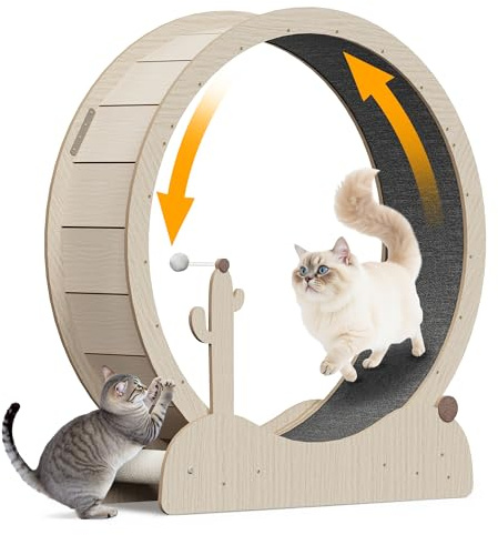 ZENY Cat Exercise Wheel, 43inch Cat Treadmill for Indoor Cats, Cats Running Wheel with Updated Enhanced Base and Carpeted Runway for Cat's Fitness