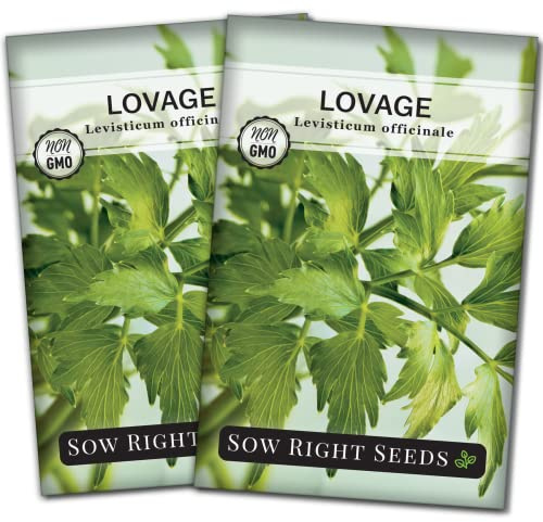 Sow Right Seeds - Lovage Seed for Planting - Culinary Herb to Plant in Your Home Herb Garden - Indoors or Outdoors - Flavorful and Productive Greens - Non-GMO Heirloom Seeds - Great Gardening Gift (2)