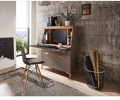 Lomadox Sekretär in Basalt mit Eiche Altholz Nb., B/H/T ca. 98/124/42 cm