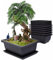 6 Stück Bonsai Anzuchtset, Töpfe Pflanzen mit Tablett, Wiederverwendbar Bonsaischale mit Tabletts, Kunststoff Bonsai Töpfe Pot Blumenpot, für Gärten, Wohnzimmer, Fensterbänken, Terrassen, 10X10 cm