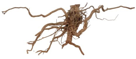 AquaOne Aquarium Wurzel Deko XL Drachenwurzel Aquascaping Echtholz Nr.7078 Drachen Curlwurzel Dragonwood Holz Dekoration Pflanzen Landschaft Moos Natur