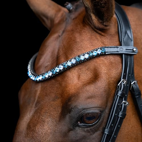 Imperial Riding pannband IRH Grande, pannband av läder med glasstrass och pennlås, blå, ponny