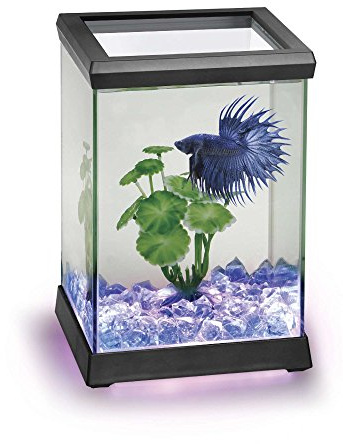 Ocean Free AT619AVerre Kit Betta Space LED, Noir