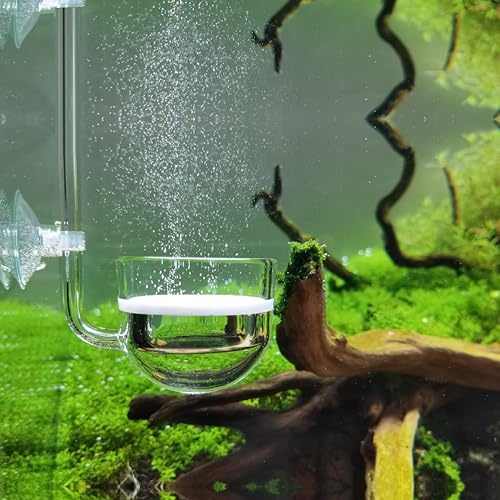 JARDLI Diffuseur de CO2 en verre pour plante d'aquarium