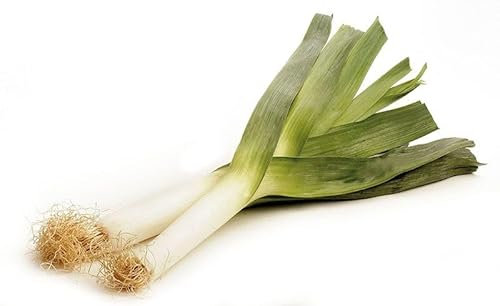 Semi PORRO In Busta Ermetica MADE IN ITALY Qualità superiore con 95% di germogliazione con istruzioni