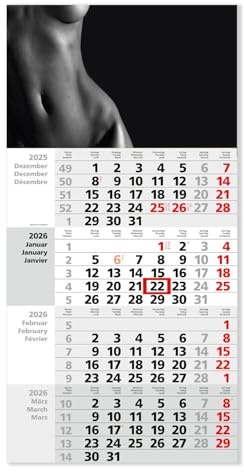 Timr calendrier mural 4 mois 2026 – Calendrier mural 4 mois avec curseur – 65,5 cm calendrier quadrimestriel multilingue D/GB/F I motif femme corps nu I tr368