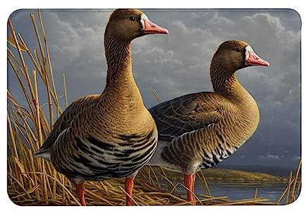 ERICAT Mat 40x60cm,Non-Slip Bathroom Mat Machine-Washable,Wildlife Ducks Animal Bird Wild Goose in The Fall Reeds Autumn View,Ultra Soft and Water Absorbent Bath Rug for Bathroom,Tub and Shower