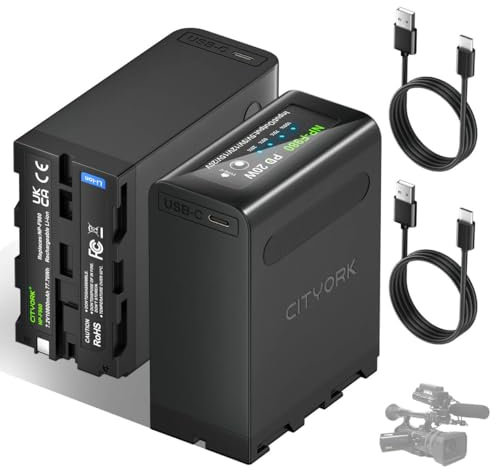 CITYORK 2 X 10800mAh NP-F980 Batería, para Sony NP-F980 F970 F975 F960 F930 F770 F750 F730 F570 F550 F530 F330 Todas Las Bateria NP-F, para videocámaras Sony, Luces LED de vídeo [PD 20W/ USB-Tipo C]