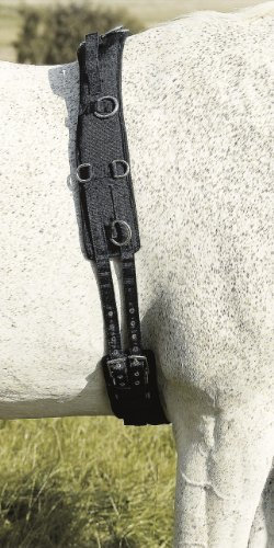 Longiergurt Neopren m. Handschlaufen