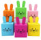 Papierdrachen 12 cajitas en Forma de conejitos de Pascua, Orejas, pompón y Cara Impresa - 7 x 7 cm - Variado - Cesta de Pascua para niños