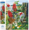 DIAMOND DOTZ Painting Kit: Intermediate, DD12, Galah Quartet, 47x57cm