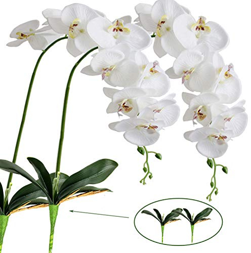 FagusHome 41 Inches Artificial Silk Phalaenopsis Flowers 2 Pcs with 2 Bundles Leaves Artificial Orchid Flowers Stem Plants in White for Décor (Large)