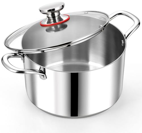 Homikit Stor kastrull 6,6 l, kastrull induktion med glaslock, pastagryta gryta av 3 lager rostfritt stål, stabil botten för alla typer av spisar, polerat rostfritt stål och obelagd