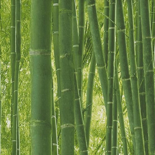 Bamboo Wall Green Wallpaper - Realistic Jungle Stylish Modern Contemporary - Trendy Feature Wall