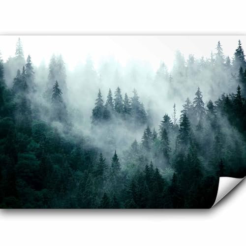 murando - Vlies Fototapete Wald Nebel 350x256cm Foto Tapete Schlafzimmer Wohnzimmer Vliestapete XXL Motivtapeten Bildtapete 3d Effekt Wand Dekoration - Natur Landschaft skandinavisch c-B-0533-a-d
