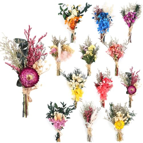 Larber 12 Stück Kleine Trockenblumen Farbe Kleine Trockenblumensträuße Boho Klein Trockenblumenstrauß für Fotografie Fotorahmen Wohnkultur Hochzeiten Parteien und Andere Gelegenheiten Dekor