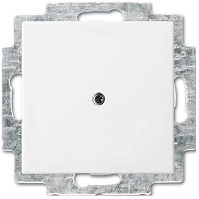 Busch-Jaeger 2538-914 Blindzentralscheibe mit Tragring (Thermoplast) Balance SI Alpinweiß