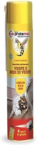 Greenservice VESPE E NIDI DI VESPE INSETTICIDA SCHIUMA SPRAY (24)