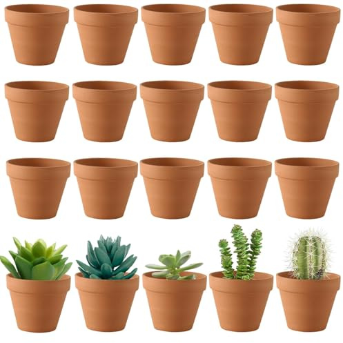 20 Piezas Macetas Barro Mini, 3.5cm Macetas pequeñas, Macetas de Barro Rojo, Mini Macetas para Flores de Terracotade Terracota con Agujero de Drenaje, Macetas Decorativas Tiestos para Plántulas