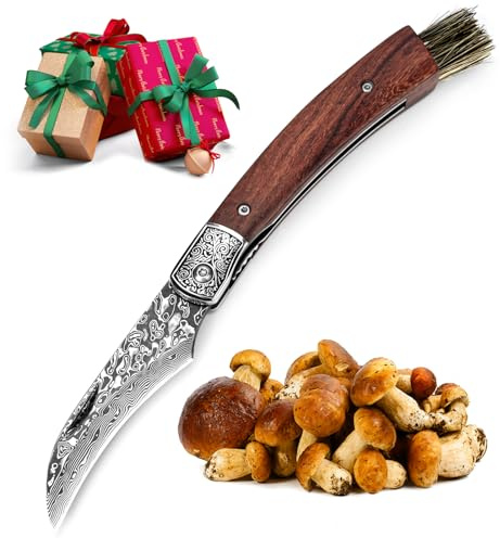 DRACHENADER Couteau Champignon, Couteau à Champignons en Damas VG10, 67 Couches, Brosse Intégrée, Liner Lock, Pour Camping