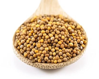 Sussex Wholefoods Organic Yellow Mustard Seeds 100g