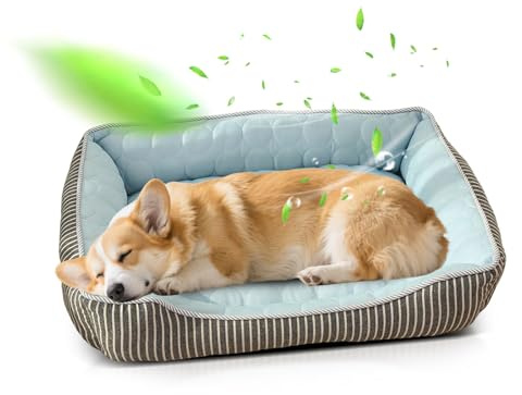 PETCUTE Cool hundsäng, ortopedisk hundsäng, stora hundar, tvättbar hundkorg med 4 kanter, hundsoffa, hundkudde med halkskydd undersida, lämplig för sommar, blå, L