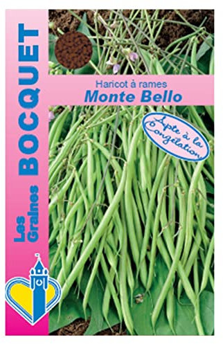 Sachet de graines de Haricot à rames Monte Bello- Les graines bocquet